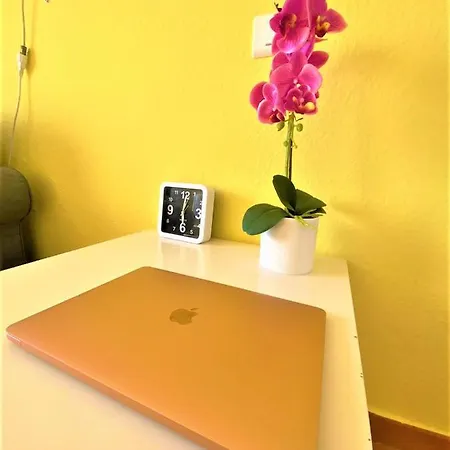 Cozy One Bedroom With Spacious Terrace. Pool And Garden View Apartment Costa Del Silencio